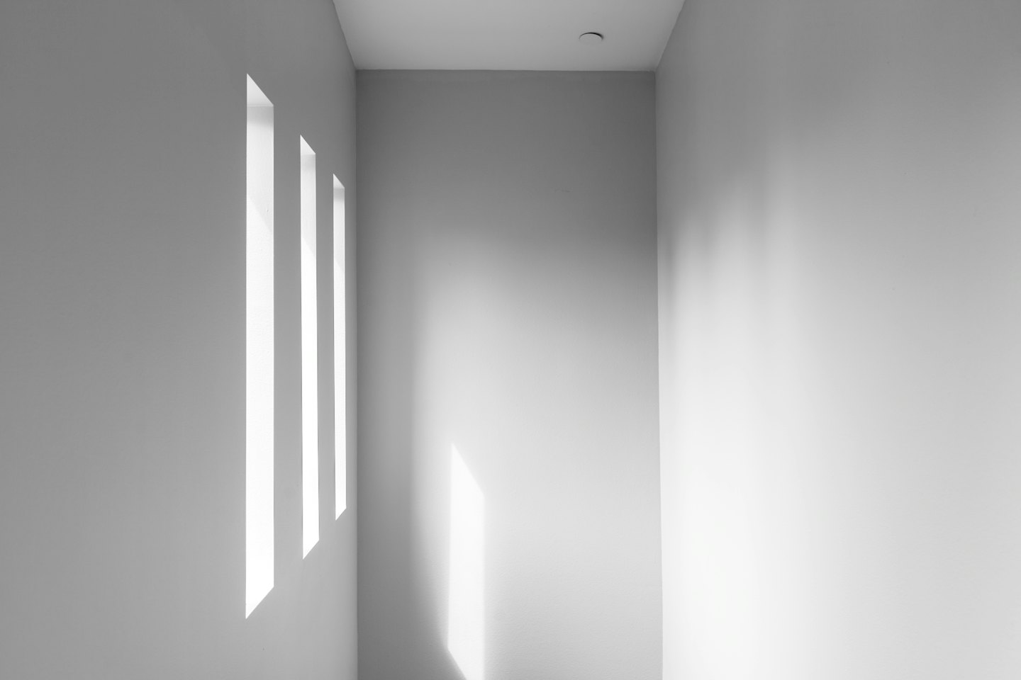 Sunlight streams through tall windows onto a modern room.